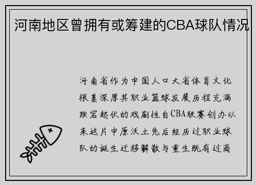 河南地区曾拥有或筹建的CBA球队情况