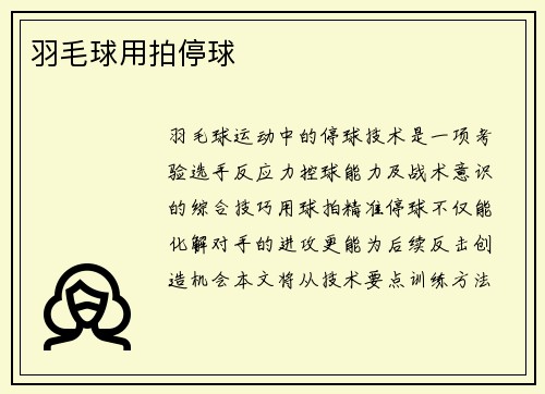 羽毛球用拍停球